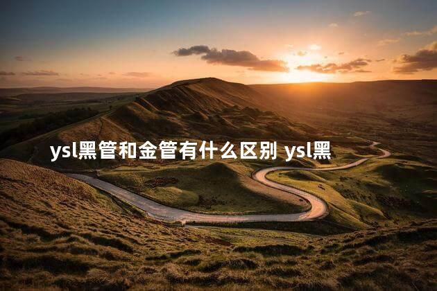 ysl黑管和金管有什么区别 ysl黑管金管味道一样吗